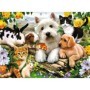 Puzzle Animale Prietenoase, 300 Piese Ravensburger - 1